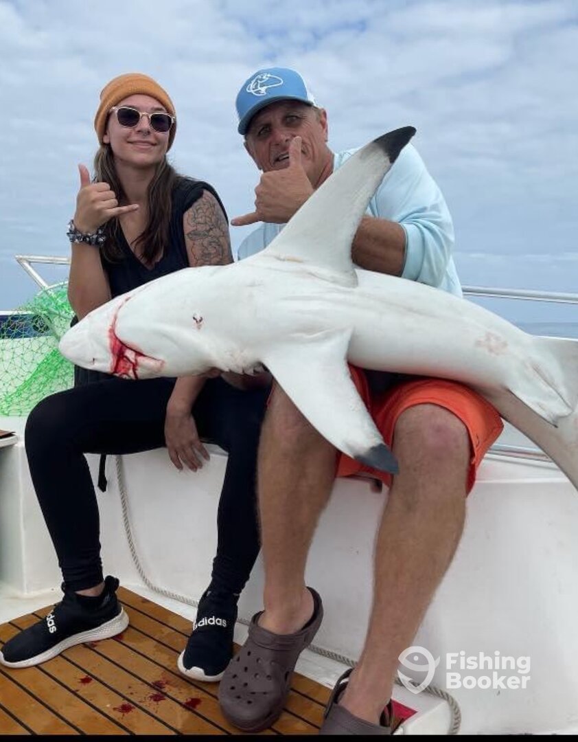 Port Orange Report Photo 0