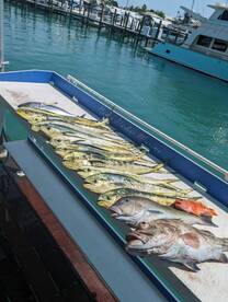 Key West Report Photo 1