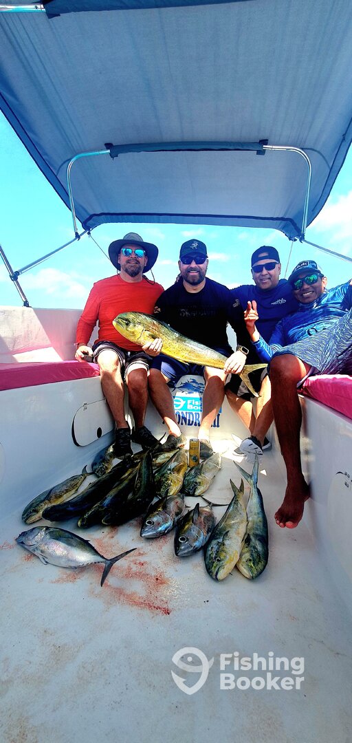 Playa Del Carmen Report Photo 0