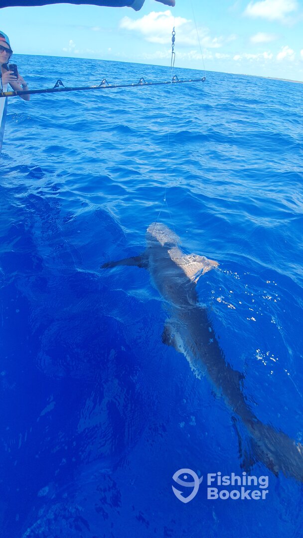 Playa Del Carmen Report Photo 0