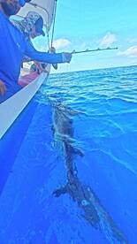 Playa Del Carmen Report Photo 1