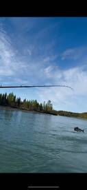 Kasilof Report Photo 1