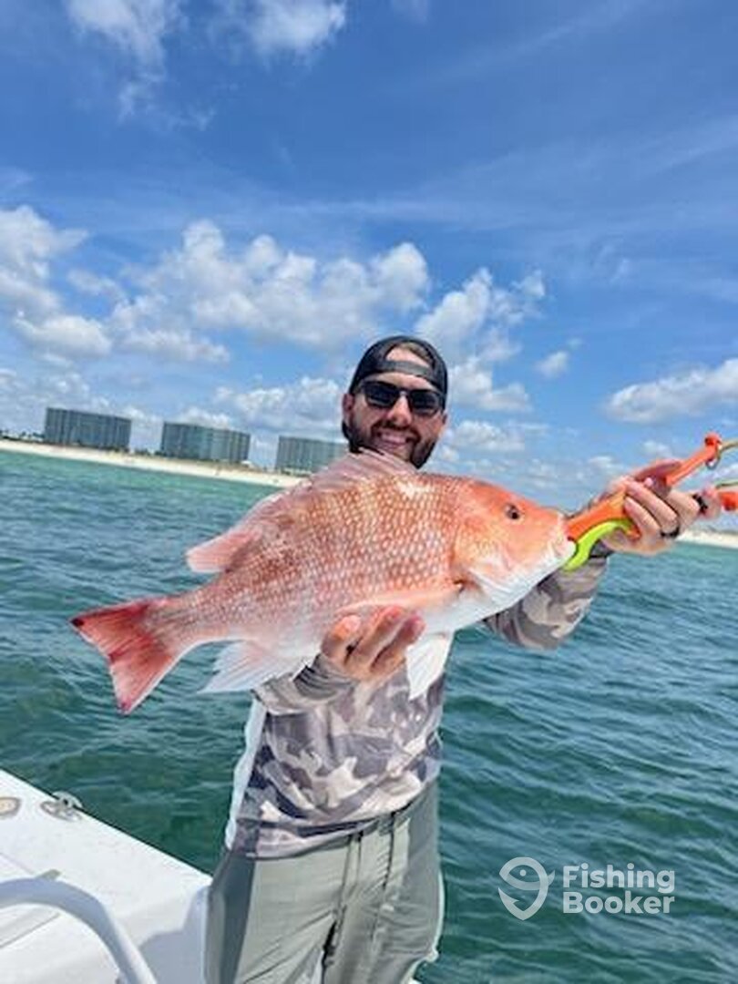 Orange Beach Report Photo 0