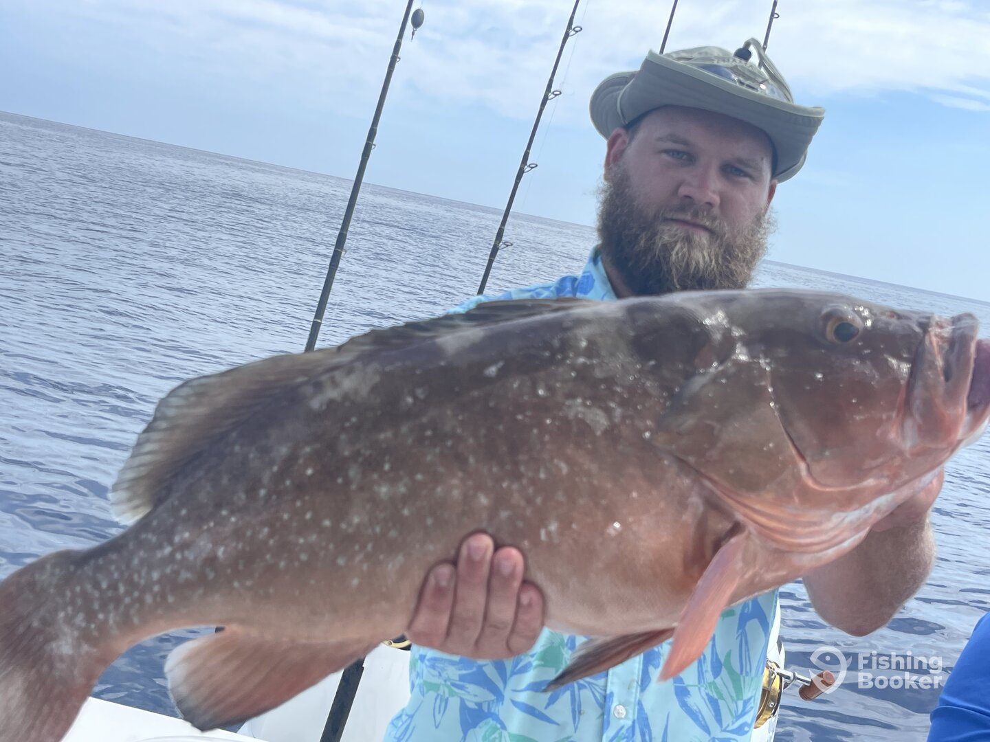 Belleair Bluffs Report Photo 0