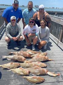 Belleair Bluffs Report Photo 1