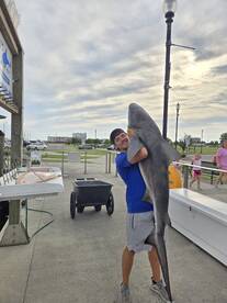 The Shark Bite is on!