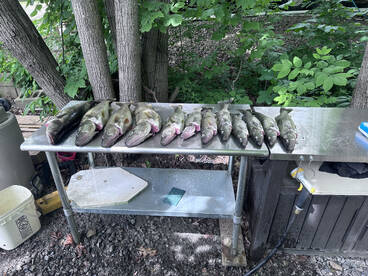 First day 2024 with the new Tiara