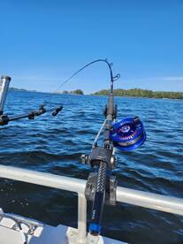 Coho and Sunshine!