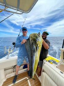 Big dorado in cabo san lucas may 2024