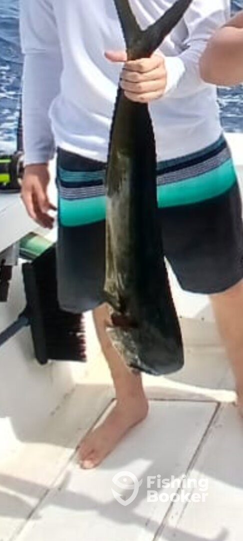 Herradura Report Photo 0