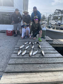 Wanchese Report Photo 2