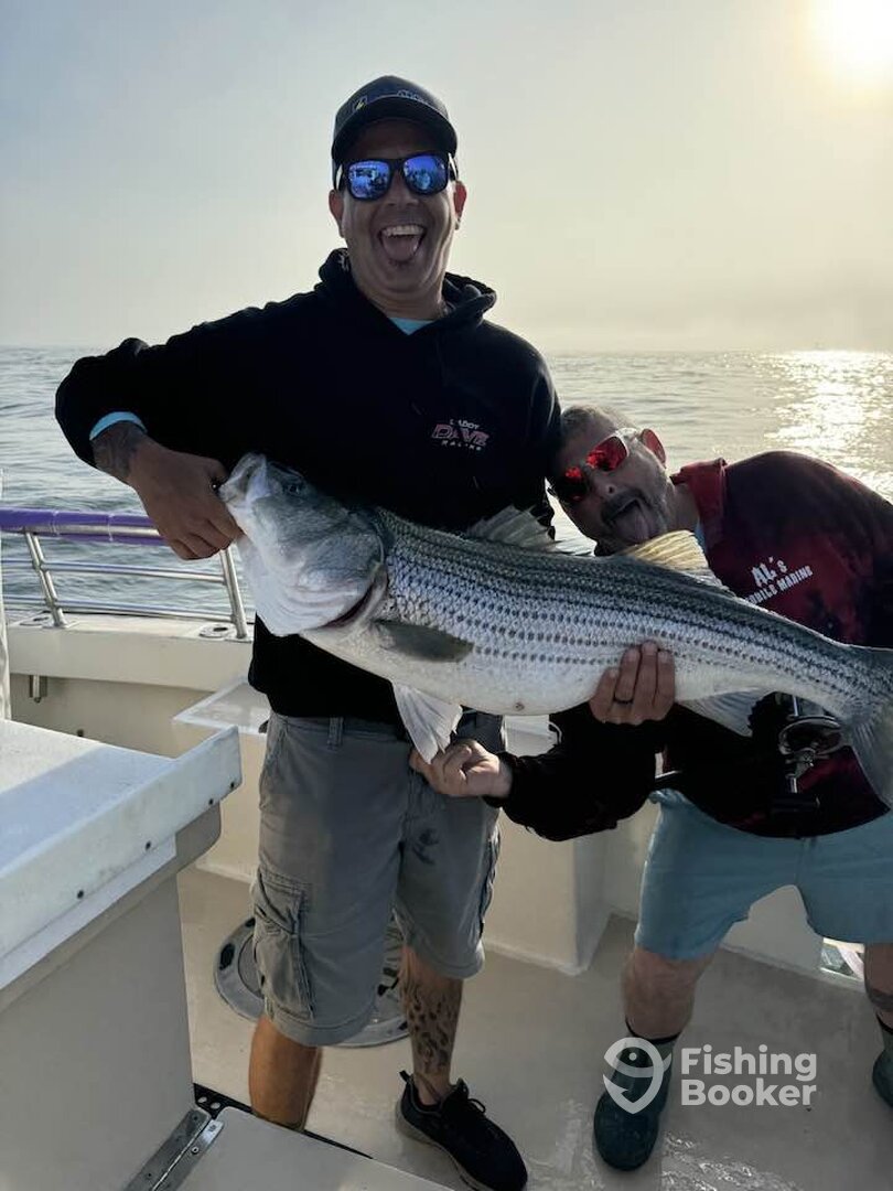 Montauk Report Photo 0