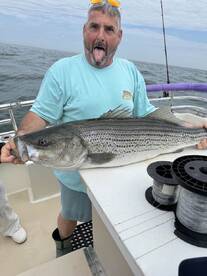 Montauk Report Photo 2