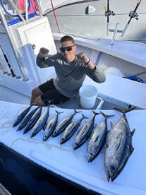 Fort Lauderdale Report Photo 1