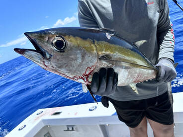 Landons birthday tuna smash!