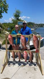Mahi
