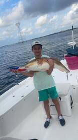 Bull Red