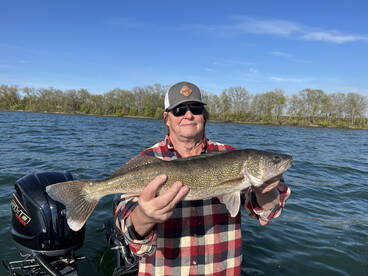 Alexandria Report Photo 1