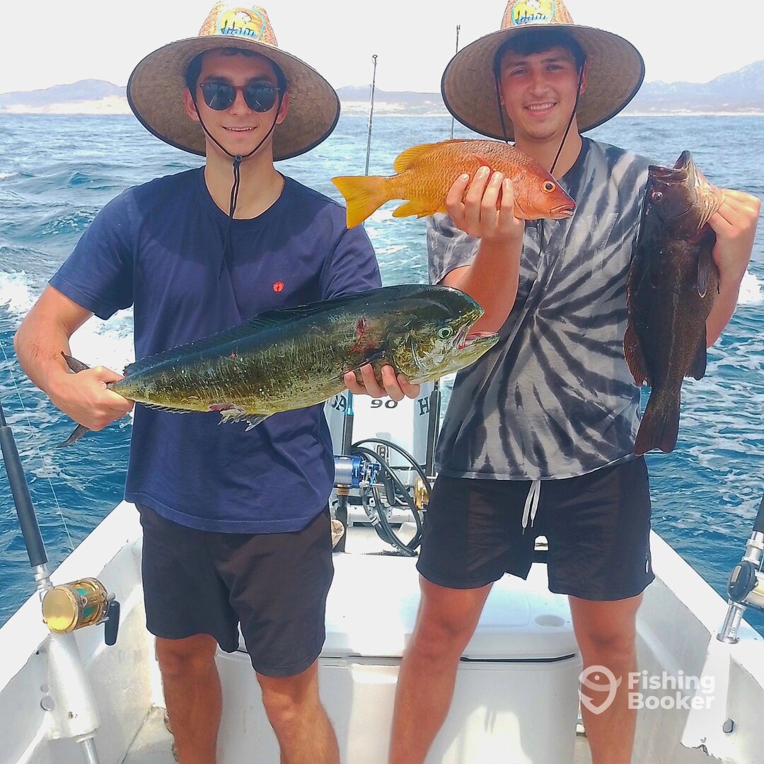 San Jose del Cabo Report Photo 0