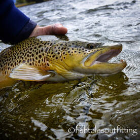 Wise River Report Photo 3