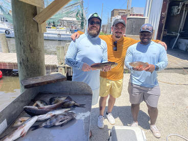 New Orleans Report Photo 2