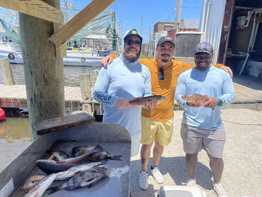 New Orleans Report Photo 1