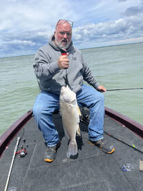 Buffalo Report Photo 1