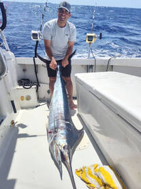 blue marlin fishing!