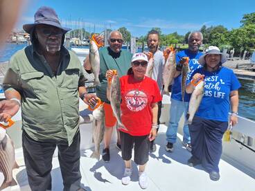 June Striped bass (Rockfish)!