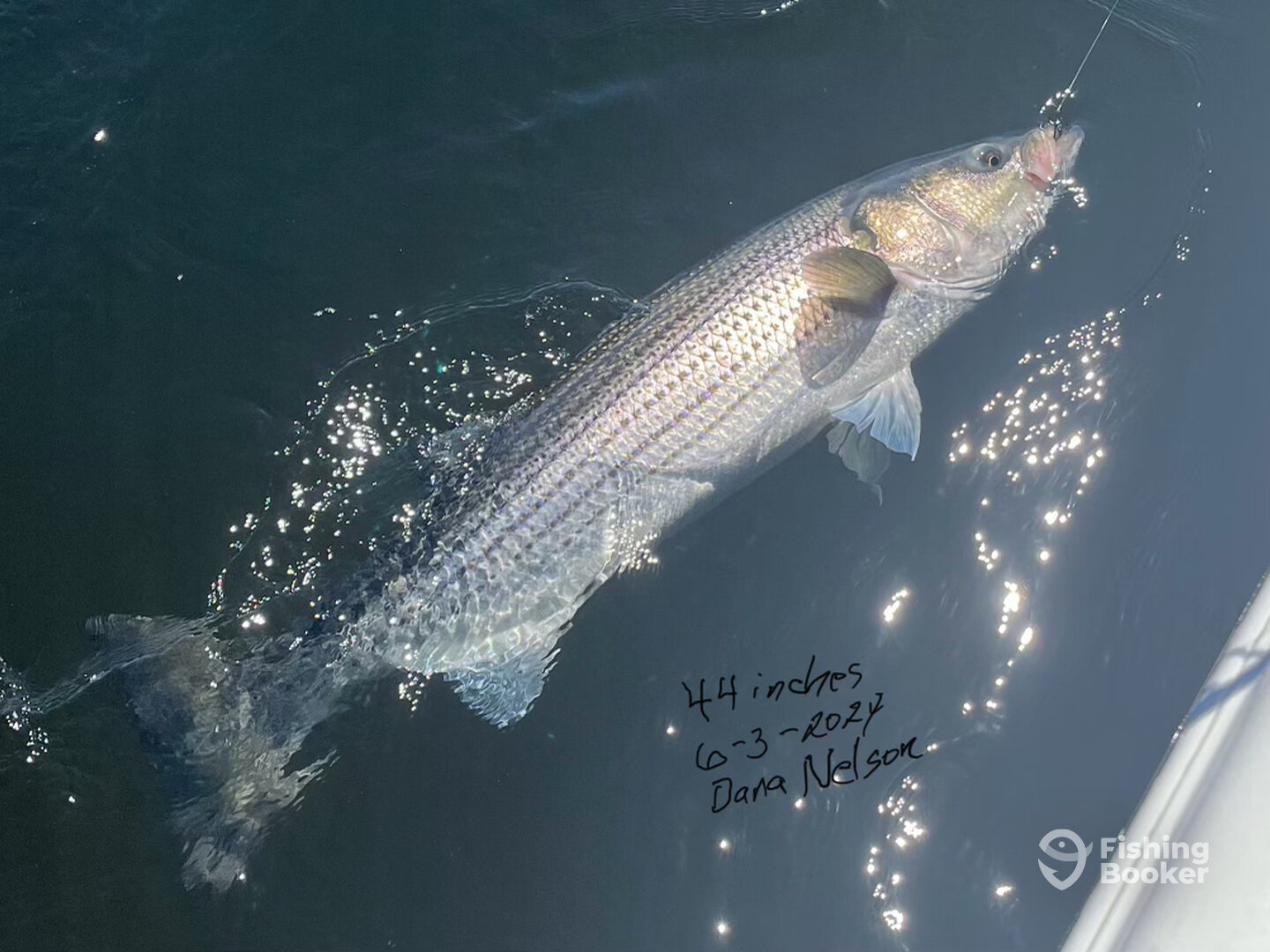 Newburyport Report Photo 0