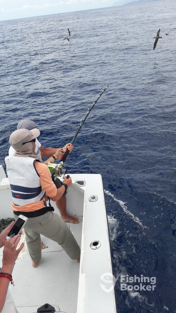 Bluefin tuna stand up