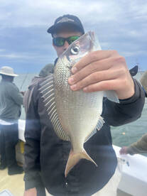 Greenport Report Photo 1