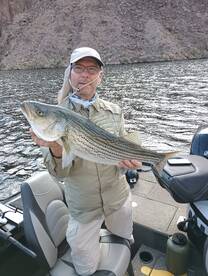 Lake Mead Report Photo 4