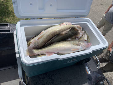 Wyandotte Report Photo 1