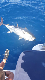 Costa Adeje Report Photo 1