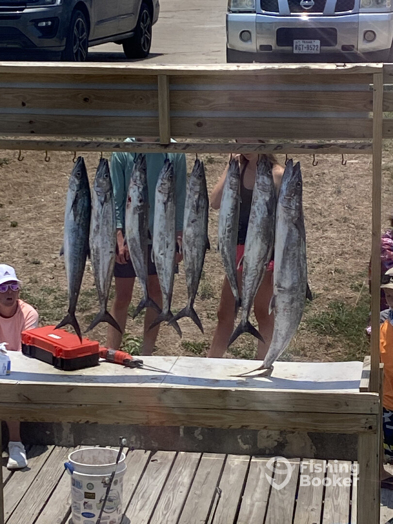 South Padre Island Report Photo 0