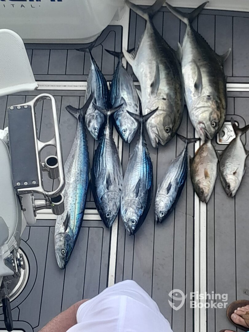 Cabo San Lucas Report Photo 0