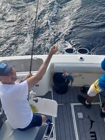 Cabo San Lucas Report Photo 2
