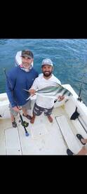 Rooster fish