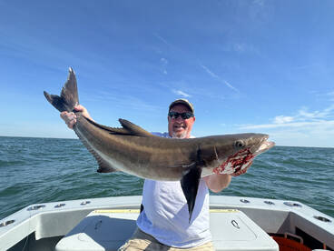 Virginia Beach Report Photo 2