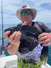 Seabass steady. SPADE FISH ON FIRE