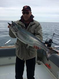 St. Catharines Report Photo 2