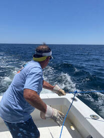Fort Walton Beach Report Photo 2