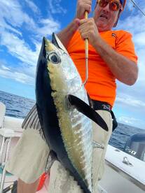 Fajardo Report Photo 1