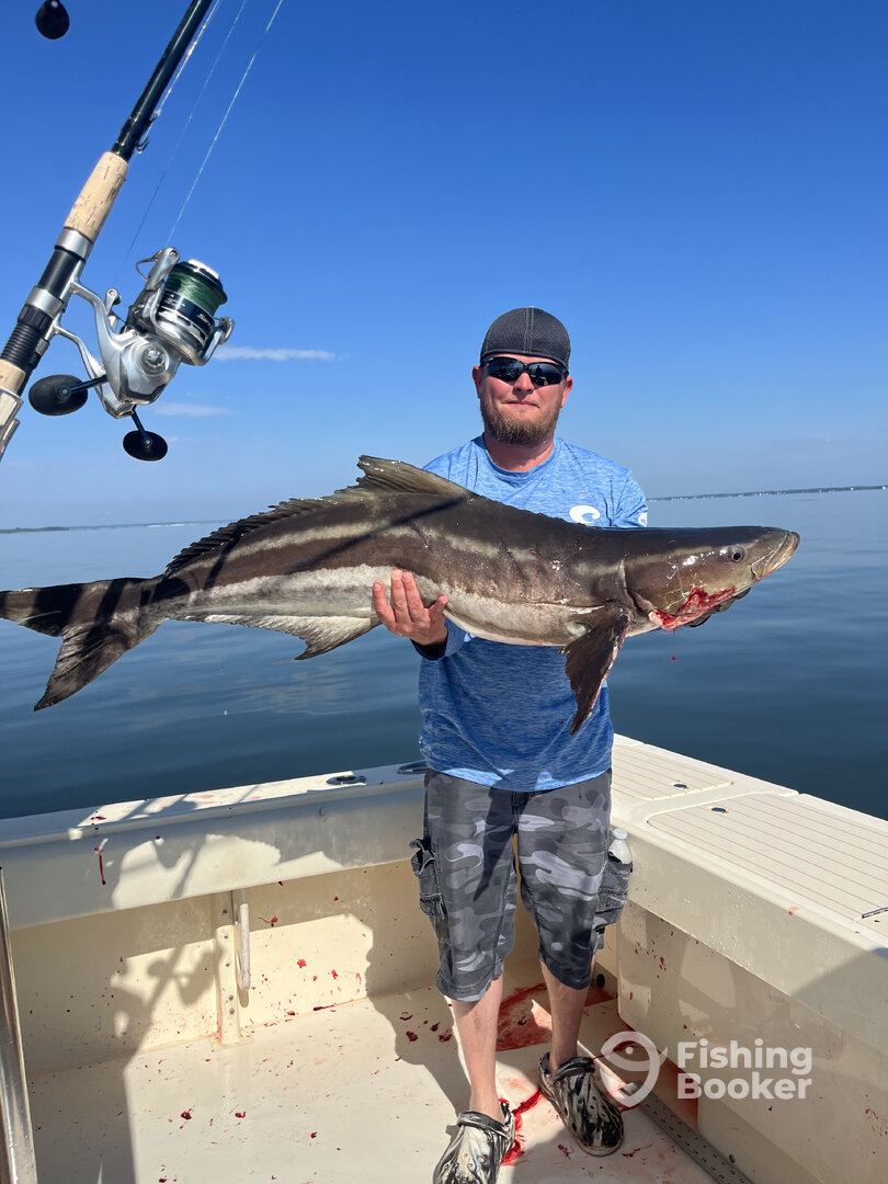 Gloucester Point Report Photo 0
