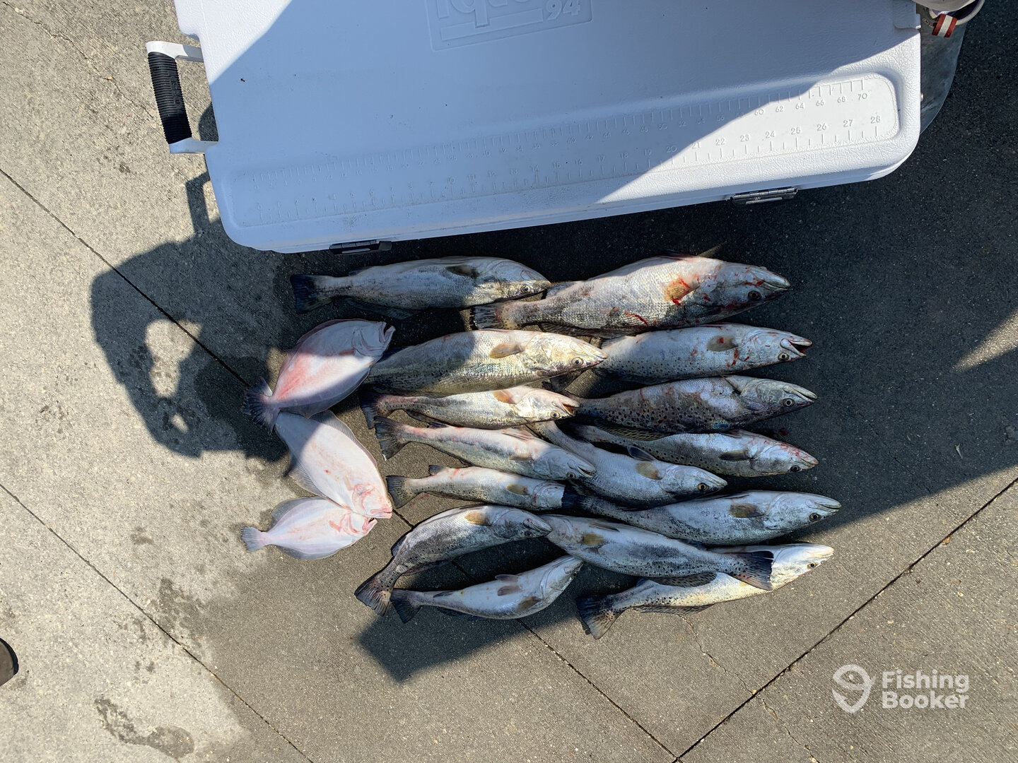 Gulfport Report Photo 0