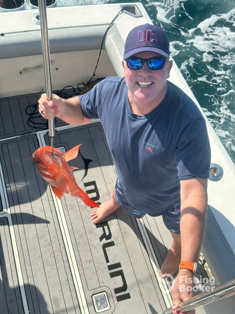 Cabo San Lucas Report Photo 0