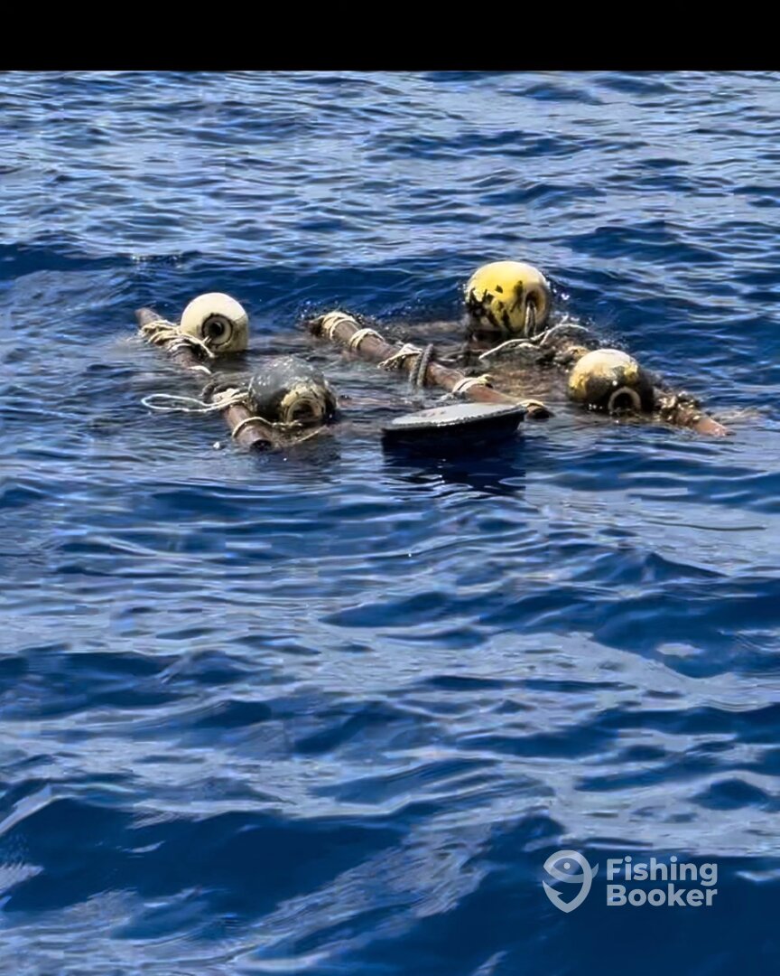 Key Largo Report Photo 0