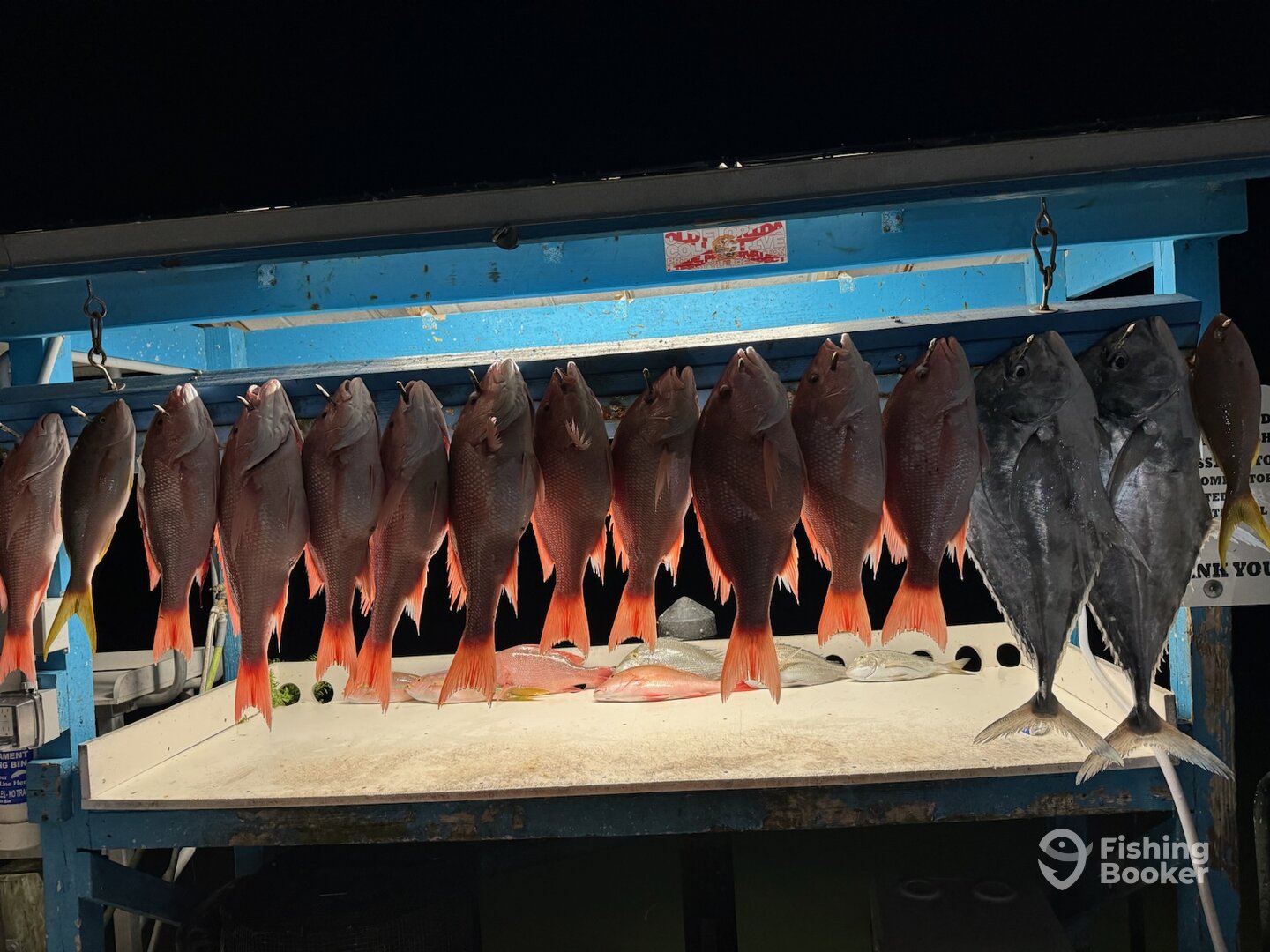Placida Report Photo 0