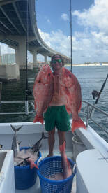Orange Beach Report Photo 1